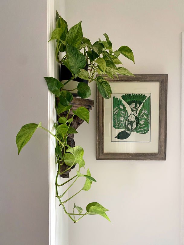 A green block-printed bird in a grey frame beside a trailing pothos.
